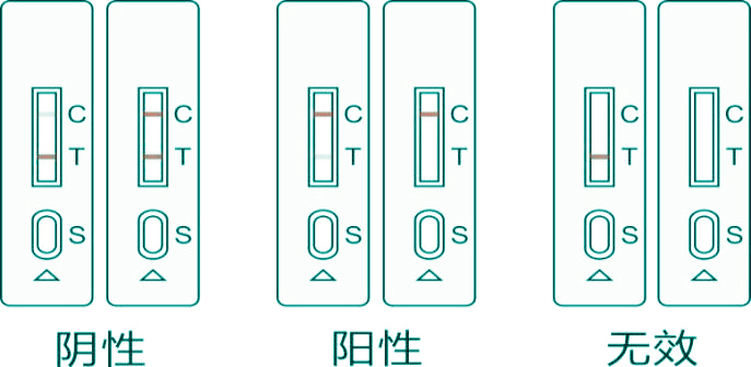 腐霉利膠體金檢測卡結果判讀