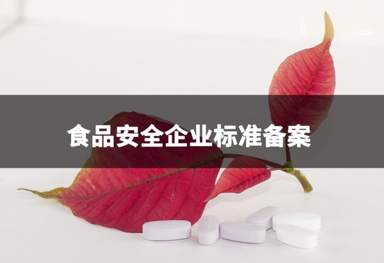 食品企業(yè)標(biāo)準(zhǔn)備案